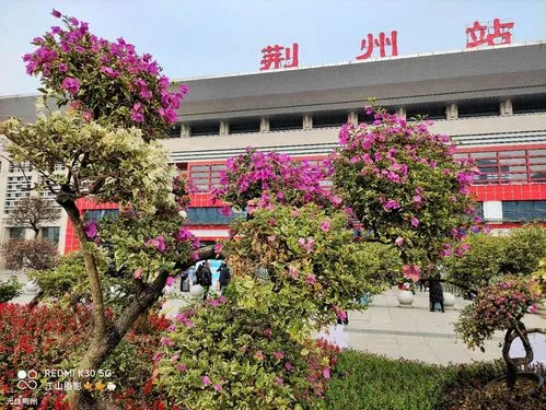 广州到荆州空运价格-广州到荆州航空物流专线-铭龙物流品牌空运线路