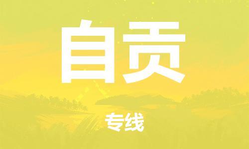 南京到自贡物流公司-南京到自贡专线-定制车型/运输更安全