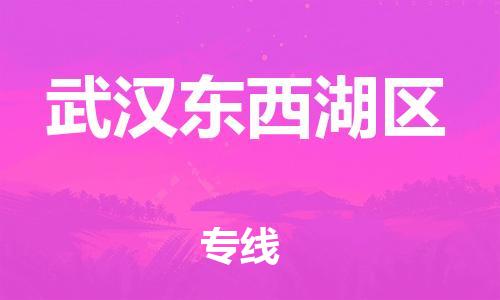 广州到武汉东西湖区电动车行李托运|广州到武汉东西湖区摩托车邮寄物流到家