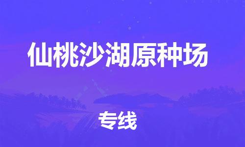 广州到仙桃沙湖原种场电动车行李托运|广州到仙桃沙湖原种场摩托车邮寄物流到家