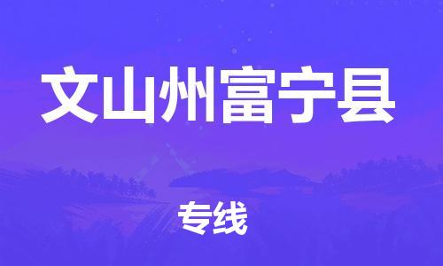 新丰县到文山州富宁县物流公司_新丰县到文山州富宁县货运_新丰县至文山州富宁县有大量危险品车源提供