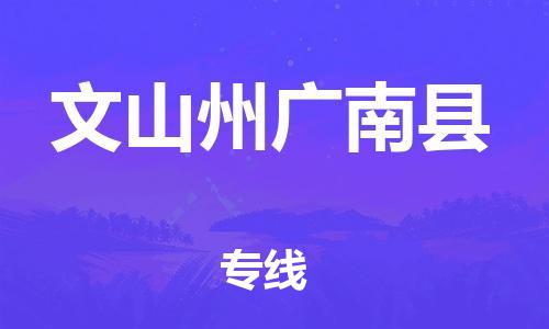 新丰县到文山州广南县物流公司_新丰县到文山州广南县货运_新丰县至文山州广南县有大量危险品车源提供