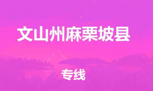 新丰县到文山州麻栗坡县物流公司_新丰县到文山州麻栗坡县货运_新丰县至文山州麻栗坡县有大量危险品车源提供