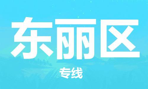 新丰县到东丽区物流专线-新丰县至东丽区货运-快捷城市配送物流专线