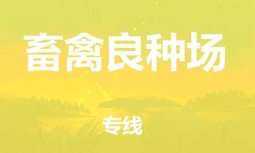 新丰县到畜禽良种场物流专线-【精品】新丰县至畜禽良种场货运