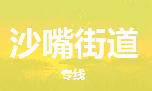 新丰县到沙嘴街道物流专线-沙嘴街道到新丰县货运-价格实惠