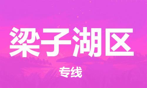 新丰县到梁子湖区物流专线-新丰县至梁子湖区货运专业、高效的