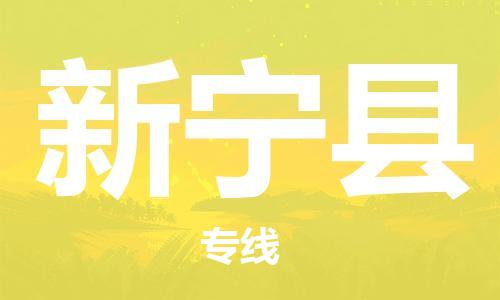 惠东县到新宁县物流专线-惠东县至新宁县货运更快，更准