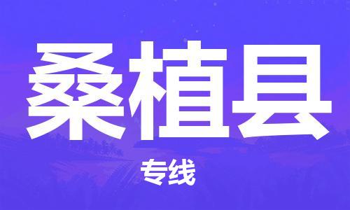 新丰县到桑植县物流专线-新丰县至桑植县货运-多年经验的代理
