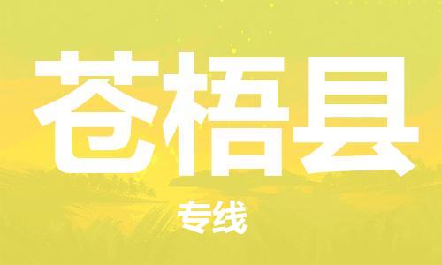新丰县到苍梧县物流专线-票价优惠，运输安全新丰县至苍梧县货运