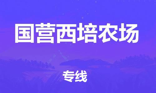新丰县到国营西培农场物流公司-新丰县至国营西培农场专线简约快递物流专线