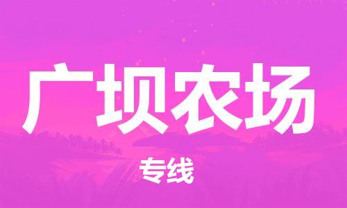 新丰县到广坝农场物流公司-安全、可靠的物流服务新丰县至广坝农场专线