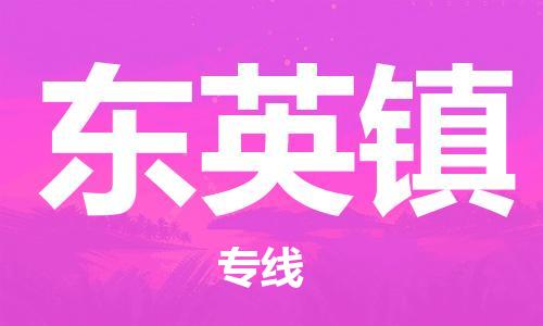 惠东县到东英镇物流专线-惠东县至东英镇货运-为客户提供满意的物流服务