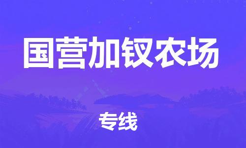 新丰县到国营加钗农场物流公司-货运更快捷新丰县至国营加钗农场专线