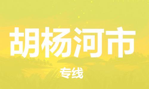 新丰县到胡杨河市物流专线安全快捷的货运选择