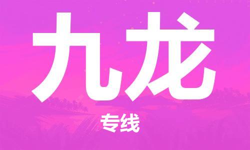 新丰县到九龙物流专线-新丰县至九龙货运极速快