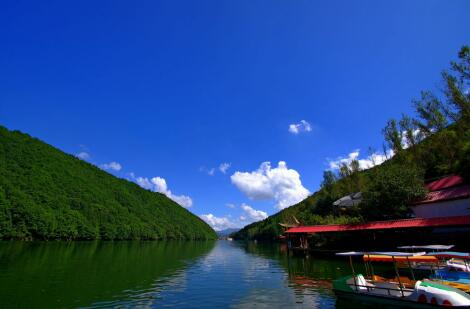 惠东县到浩口原种场物流专线-惠东县至浩口原种场货运高效快捷的运输